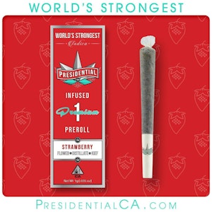 Presidential - STRAWBERRY | MOONROCK JOINT | 1G INDICA