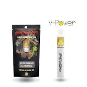 V-POWER | DISPOSABLE | CURED RESIN | 1G