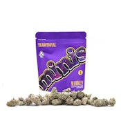 MINIS | MAMBA 24 | 5G