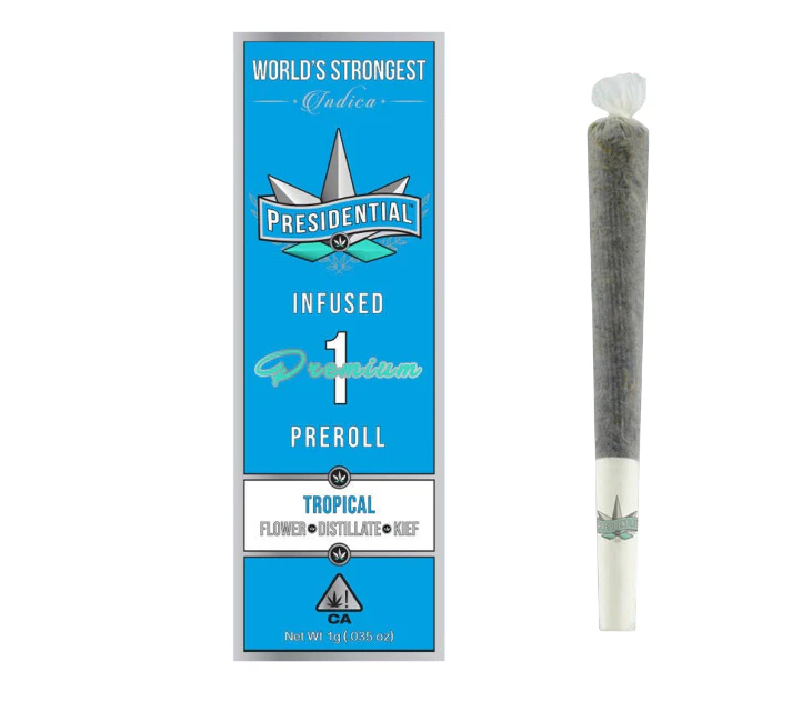 Presidential - TROPICAL | MOONROCK | JOINT | 1G INDICA Main Image