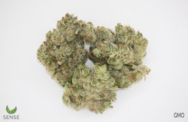 GMO | 3.5G