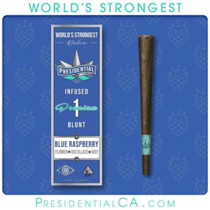 Presidential - BLUE RASPBERRY |  MOON ROCK BLUNT | 1.5G | INDICA