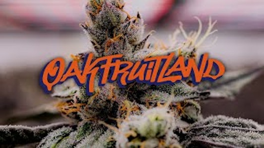 Oakfruitland - ICED OUT DUAL PACK | 2G